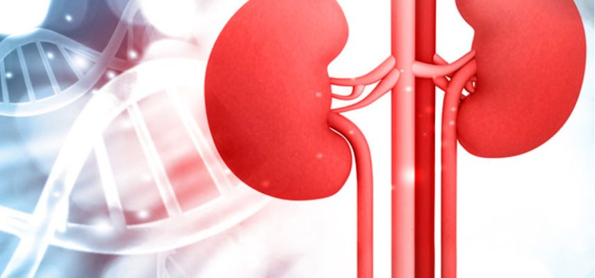 Fibrocor Therapeutics Collaborates with MSRD